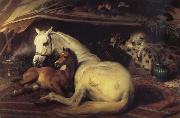 Sir Edwin Landseer The Arab Tent oil